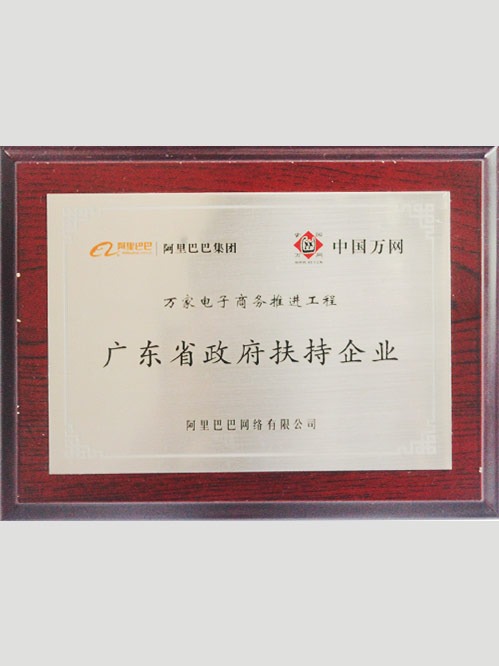 广东省政府扶持企业证书